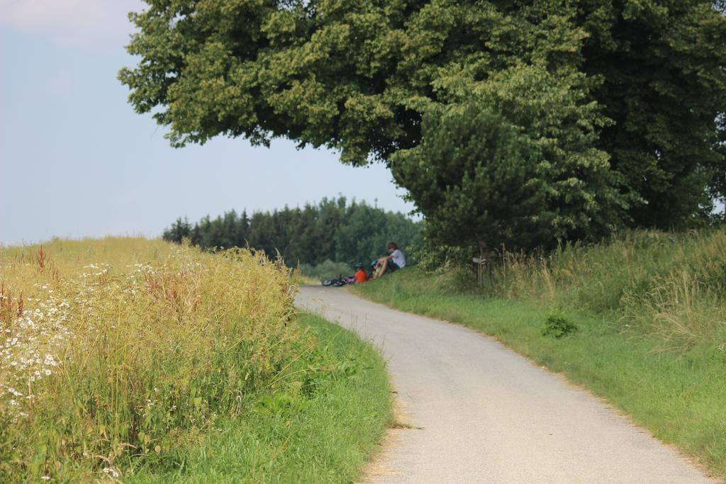 Penzion Keramika Jindřichŭv Hradec Zewnętrze zdjęcie